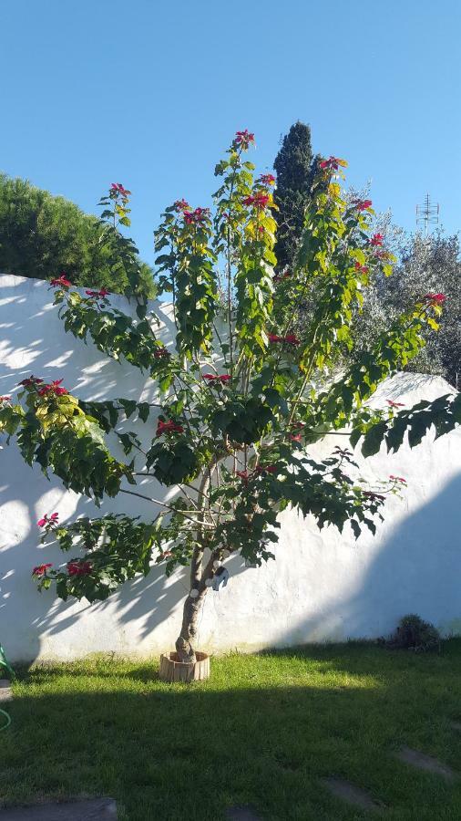 Casa Baro Konuk evi Zahora Dış mekan fotoğraf
